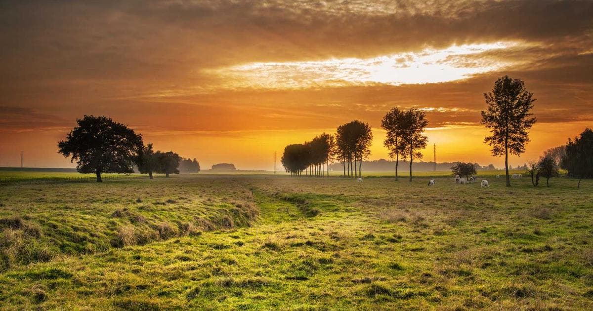 Legal documents for a specialized closing like a foreclosure or estate sale.