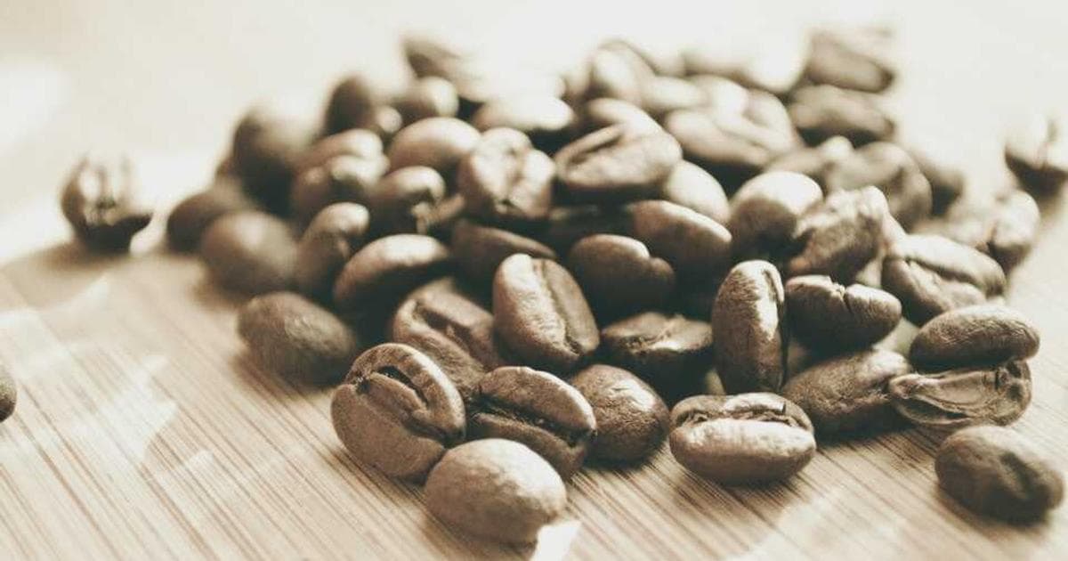 Lush green parks and neighborhoods in Plantation, Florida